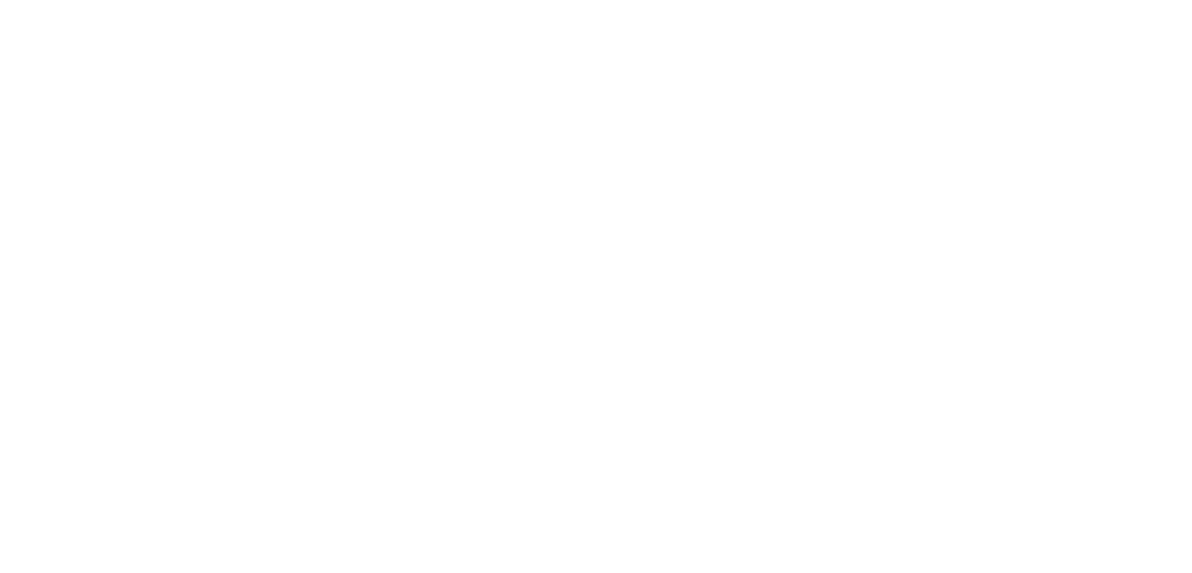 Microsite SFA