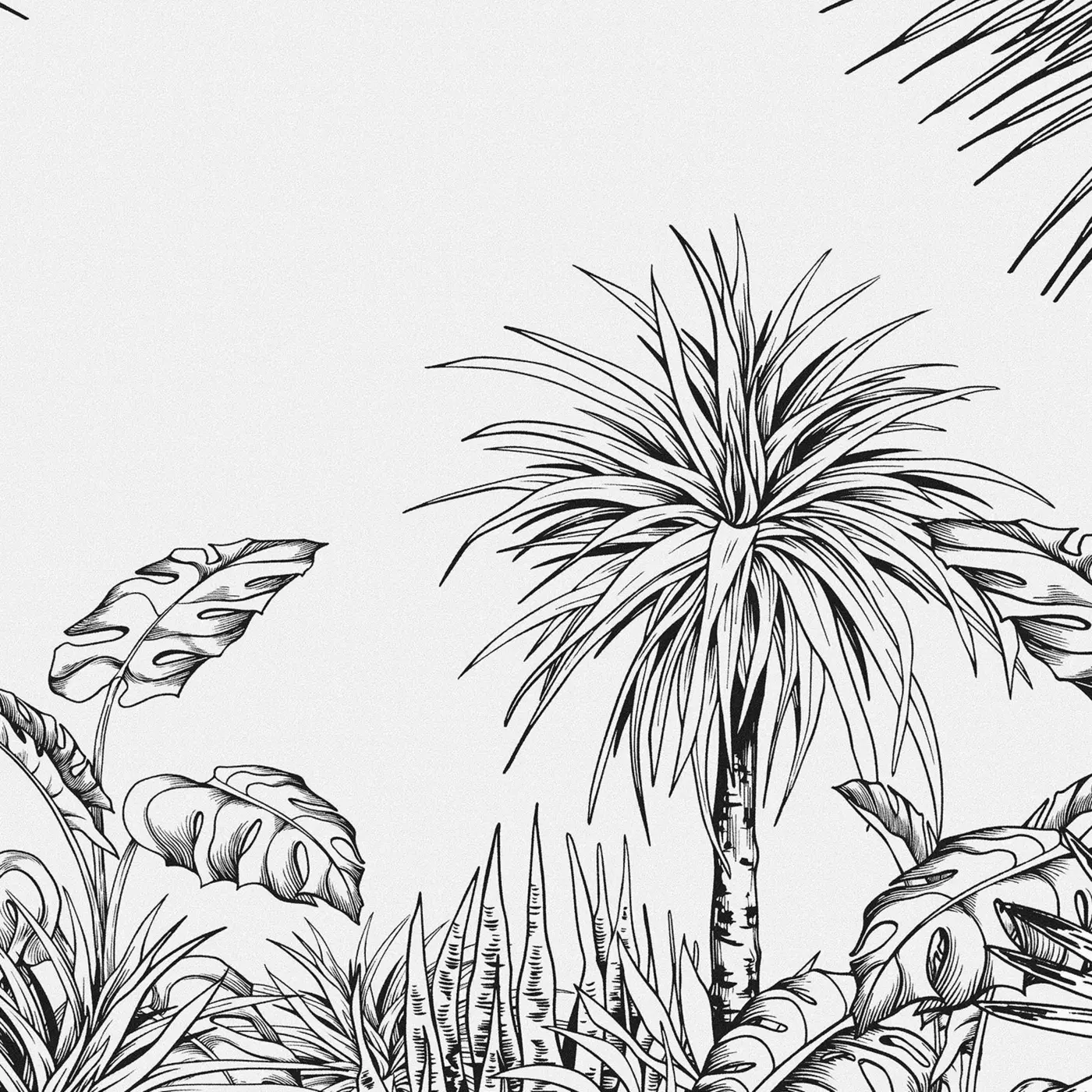 Palm tree s/w design
